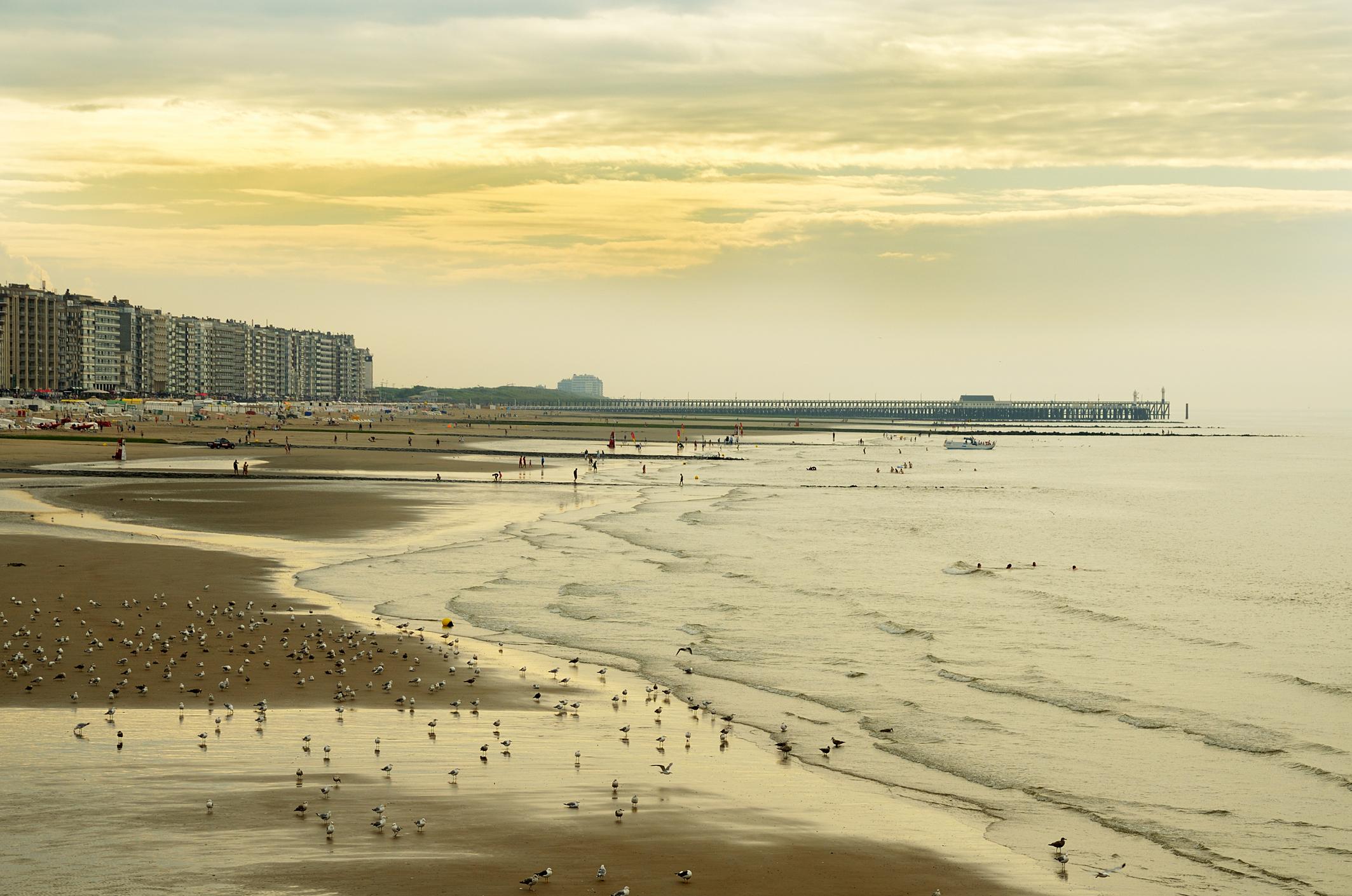 Zicht op de volledige kustlijn van België – lijfrenteverkoop